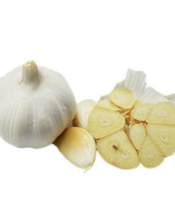 Buy Fresh Garlic online