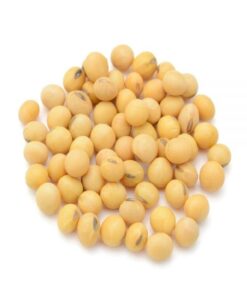 Buy Soybean online